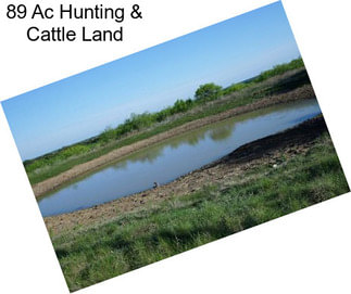 89 Ac Hunting & Cattle Land