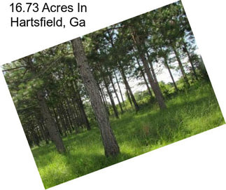 16.73 Acres In Hartsfield, Ga