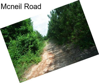 Mcneil Road