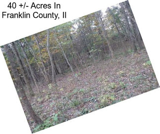 40 +/- Acres In Franklin County, Il