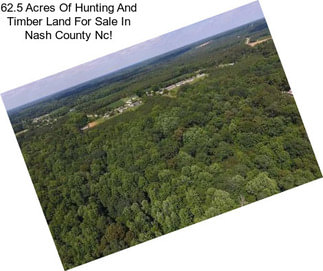 62.5 Acres Of Hunting And Timber Land For Sale In Nash County Nc!