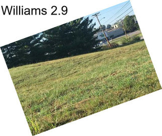 Williams 2.9
