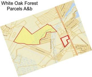 White Oak Forest Parcels A&b