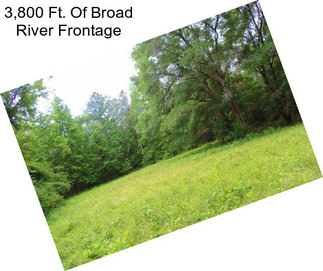 3,800 Ft. Of Broad River Frontage