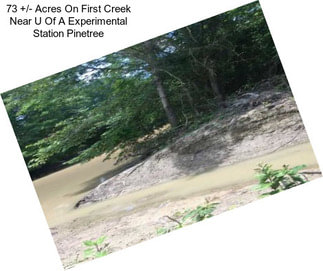 73 +/- Acres On First Creek Near U Of A Experimental Station Pinetree