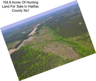 104.8 Acres Of Hunting Land For Sale In Halifax County Nc!