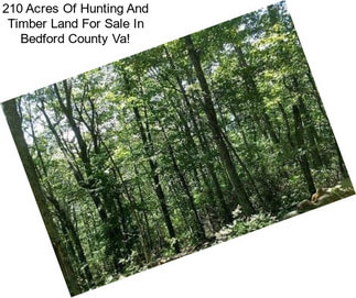 210 Acres Of Hunting And Timber Land For Sale In Bedford County Va!