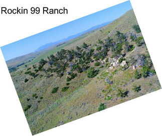 Rockin 99 Ranch