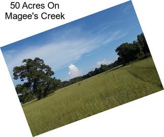 50 Acres On Magee\'s Creek