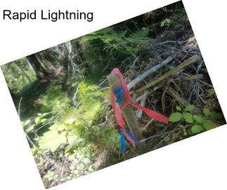 Rapid Lightning