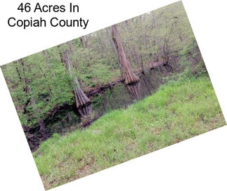 46 Acres In Copiah County