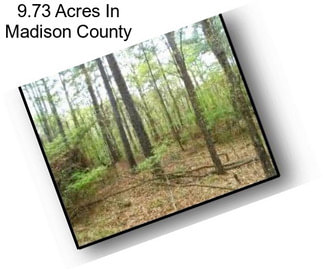 9.73 Acres In Madison County