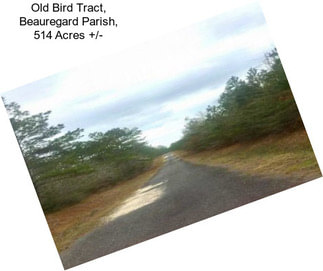 Old Bird Tract, Beauregard Parish, 514 Acres +/-