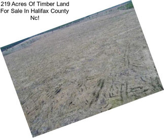 219 Acres Of Timber Land For Sale In Halifax County Nc!