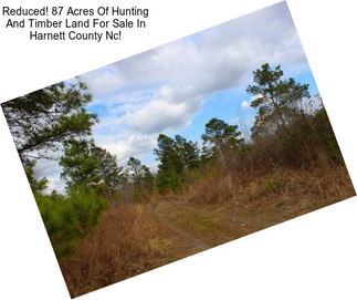 Reduced! 87 Acres Of Hunting And Timber Land For Sale In Harnett County Nc!