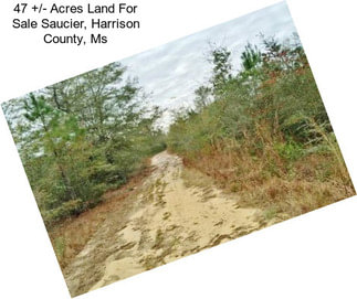 47 +/- Acres Land For Sale Saucier, Harrison County, Ms