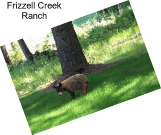 Frizzell Creek Ranch
