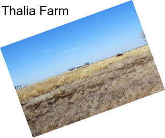 Thalia Farm