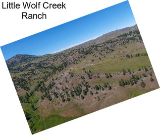 Little Wolf Creek Ranch