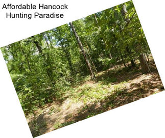 Affordable Hancock Hunting Paradise