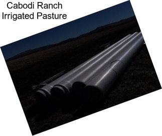 Cabodi Ranch Irrigated Pasture