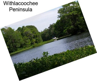 Withlacoochee Peninsula