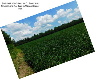 Reduced! 128.25 Acres Of Farm And Timber Land For Sale In Wilson County Nc!