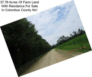 37.78 Acres Of Farm Land With Residence For Sale In Columbus County Nc!