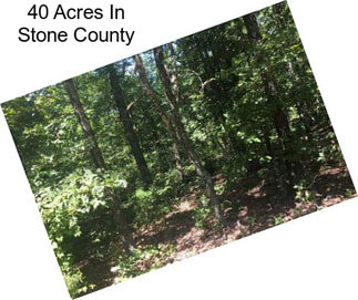 40 Acres In Stone County