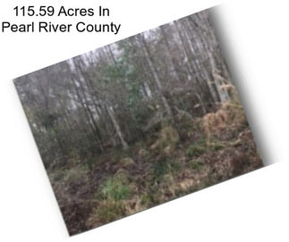 115.59 Acres In Pearl River County