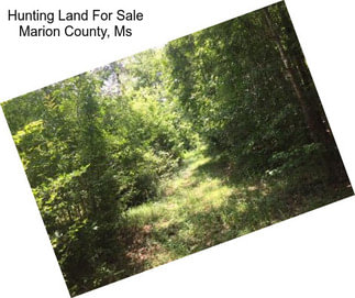 Hunting Land For Sale Marion County, Ms