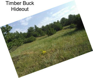 Timber Buck Hideout