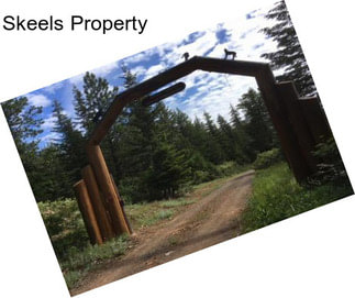 Skeels Property