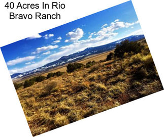 40 Acres In Rio Bravo Ranch