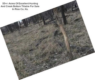 55+/- Acres Of Excellent Hunting And Creek Bottom Tillable For Sale In Rice Co, Ks.