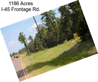 1186 Acres I-45 Frontage Rd.