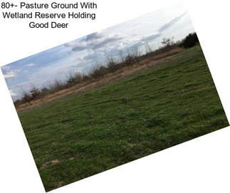 80+- Pasture Ground With Wetland Reserve Holding Good Deer