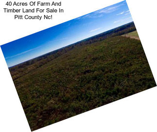 40 Acres Of Farm And Timber Land For Sale In Pitt County Nc!