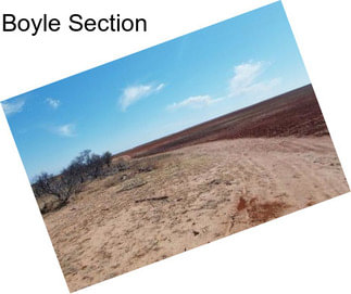 Boyle Section