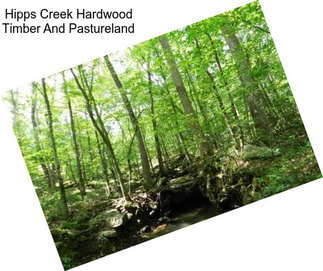 Hipps Creek Hardwood Timber And Pastureland