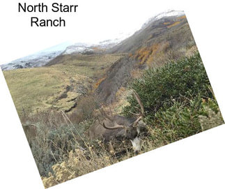North Starr Ranch