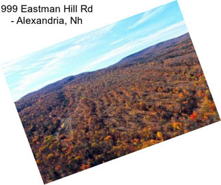 999 Eastman Hill Rd - Alexandria, Nh