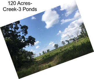 120 Acres- Creek-3 Ponds