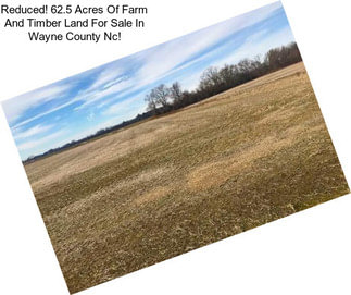 Reduced! 62.5 Acres Of Farm And Timber Land For Sale In Wayne County Nc!