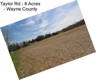 Taylor Rd - 6 Acres - Wayne County