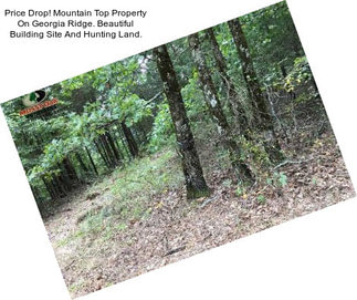 Price Drop! Mountain Top Property On Georgia Ridge. Beautiful Building Site And Hunting Land.