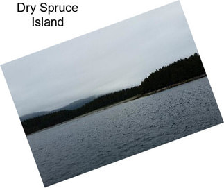 Dry Spruce Island