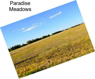 Paradise Meadows