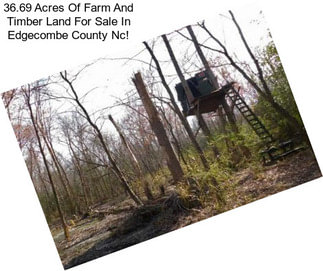 36.69 Acres Of Farm And Timber Land For Sale In Edgecombe County Nc!