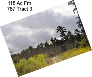 118 Ac Fm 787 Tract 3